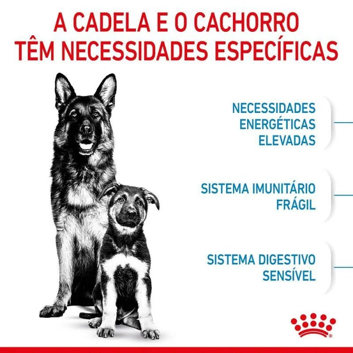 Royal Canin Maxi Starter Mother & Babydog - PetDoctors - Loja Online