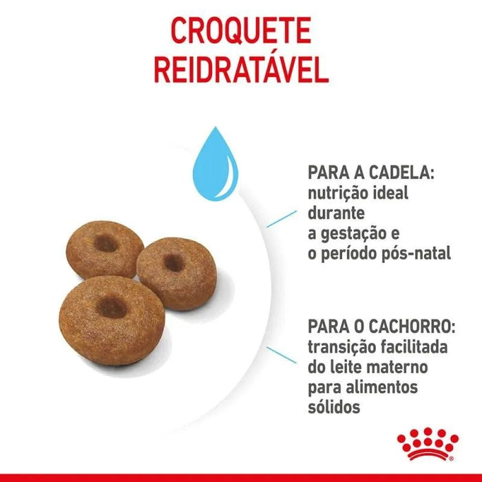 Royal Canin Maxi Starter Mother & Babydog - PetDoctors - Loja Online
