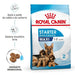 Royal Canin Maxi Starter Mother & Babydog - PetDoctors - Loja Online
