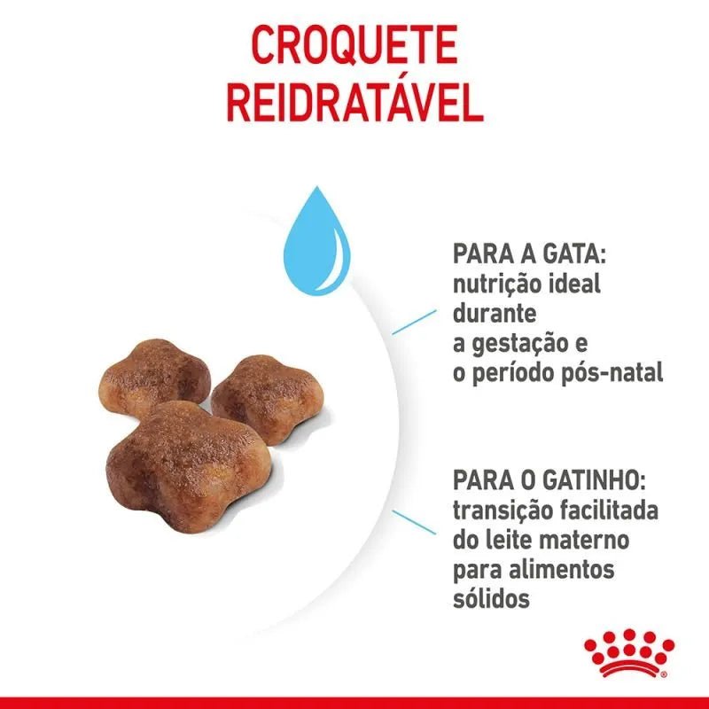 Royal Canin Mother & Babycat - PetDoctors - Loja Online