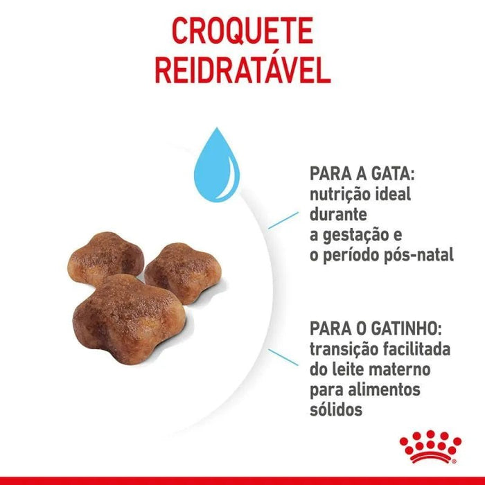 Royal Canin Mother & Babycat - PetDoctors - Loja Online