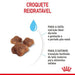 Royal Canin Mother & Babycat - PetDoctors - Loja Online
