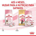 Royal Canin Mother & Babycat - PetDoctors - Loja Online