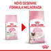 Royal Canin Mother & Babycat - PetDoctors - Loja Online