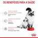 Royal Canin Mother & Babycat - PetDoctors - Loja Online