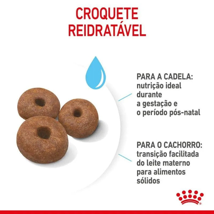 Royal Canin Pediatric Starter Puppy Giant Dog - Para Cachorros de Raça Gigante - 15 Quilos - PetDoctors - Loja Online