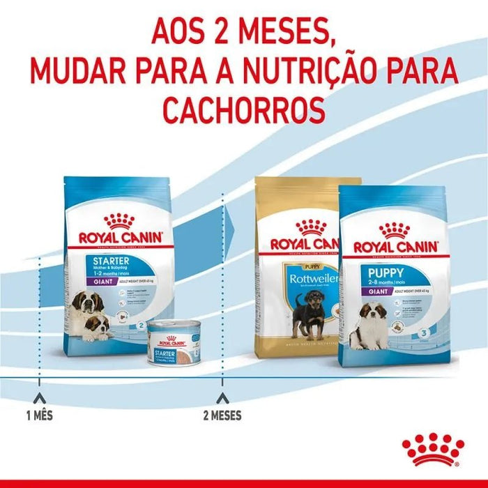 Royal Canin Pediatric Starter Puppy Giant Dog - Para Cachorros de Raça Gigante - 15 Quilos - PetDoctors - Loja Online