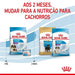 Royal Canin Pediatric Starter Puppy Giant Dog - Para Cachorros de Raça Gigante - 15 Quilos - PetDoctors - Loja Online