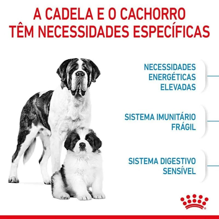 Royal Canin Pediatric Starter Puppy Giant Dog - Para Cachorros de Raça Gigante - 15 Quilos - PetDoctors - Loja Online