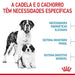 Royal Canin Pediatric Starter Puppy Giant Dog - Para Cachorros de Raça Gigante - 15 Quilos - PetDoctors - Loja Online