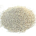 SANICAT Evolution Kitten, Areia de Gato Aglomerante - 6L (Até 1 ano de idade) - PetDoctors - Loja Online