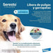 SERESTO Desparasitante Coleira para Gato - PetDoctors - Loja Online