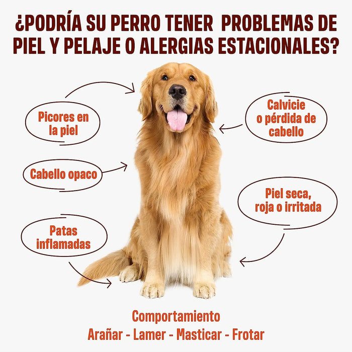 Skin & Coat - Complemento alimentar para cães, anti - picadas, pêlo macio e brilhante - ômega 3, óleo de salmão, DHAgold, vitaminas C, E e zinco - 60 golosinas de salmão - PetDoctors - Loja Online