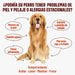Skin & Coat - Complemento alimentar para cães, anti - picadas, pêlo macio e brilhante - ômega 3, óleo de salmão, DHAgold, vitaminas C, E e zinco - 60 golosinas de salmão - PetDoctors - Loja Online