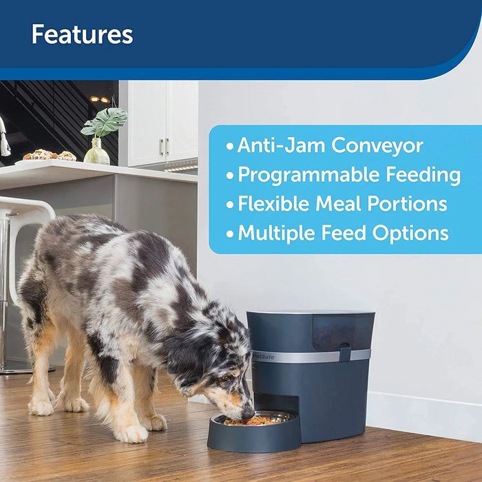 SmartFeed 2.0 Alimentador Automático para Cães e Gatos com 6 Litros (PetSafe®) - PetDoctors - Loja Online