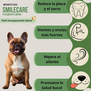 Smilecare - Pós para mau hálito Alga Kelp - Alternativa natural pasta de dentes para cães e gatos, melhora o hálito, reduz o tártaro, prevenção problemas dentários - sem escovar diariamente (220 gr) - PetDoctors - Loja Online