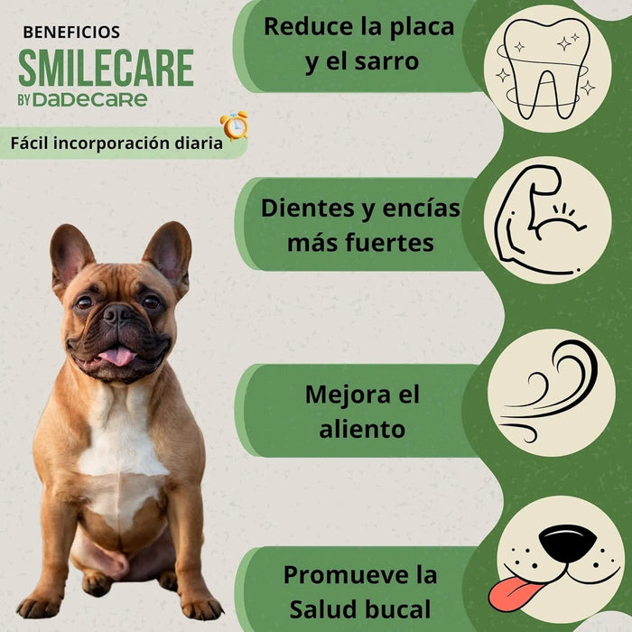 Smilecare - Pós para mau hálito Alga Kelp - Alternativa natural pasta de dentes para cães e gatos, melhora o hálito, reduz o tártaro, prevenção problemas dentários - sem escovar diariamente (220 gr) - PetDoctors - Loja Online