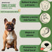 Smilecare - Pós para mau hálito Alga Kelp - Alternativa natural pasta de dentes para cães e gatos, melhora o hálito, reduz o tártaro, prevenção problemas dentários - sem escovar diariamente (220 gr) - PetDoctors - Loja Online