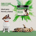 Smilecare - Pós para mau hálito Alga Kelp - Alternativa natural pasta de dentes para cães e gatos, melhora o hálito, reduz o tártaro, prevenção problemas dentários - sem escovar diariamente (220 gr) - PetDoctors - Loja Online