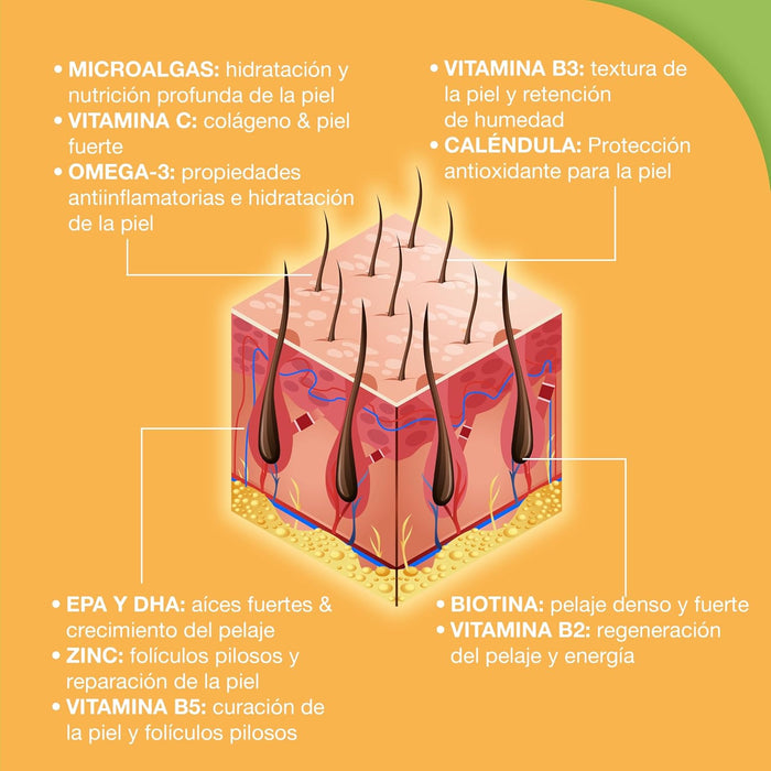 Snacks Paawy para Pêlo Brilhante - suplemento alimentar com ômega 3, biotina e zinco para o pêlo - ajuda na comichão, perda de pêlo e alergias - PetDoctors - Loja Online