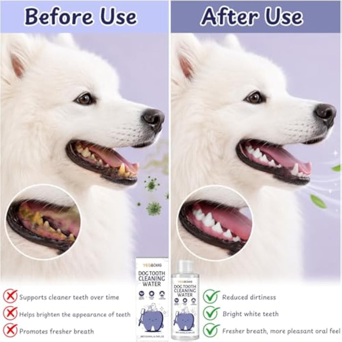 Solução de Higiene Oral para Cães e Gatos 200 ml | Hálito Fresco - PetDoctors - Loja Online