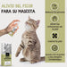 Spray anti - picadelas e comichão para cães e gatos, 250 ml, calmante para comichões e alergia com ,cravo e aloé vera, hidrata e alivia picadas de insetos e irritação - PetDoctors - Loja Online