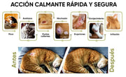 Spray anti - picadelas e comichão para cães e gatos, 250 ml, calmante para comichões e alergia com ,cravo e aloé vera, hidrata e alivia picadas de insetos e irritação - PetDoctors - Loja Online