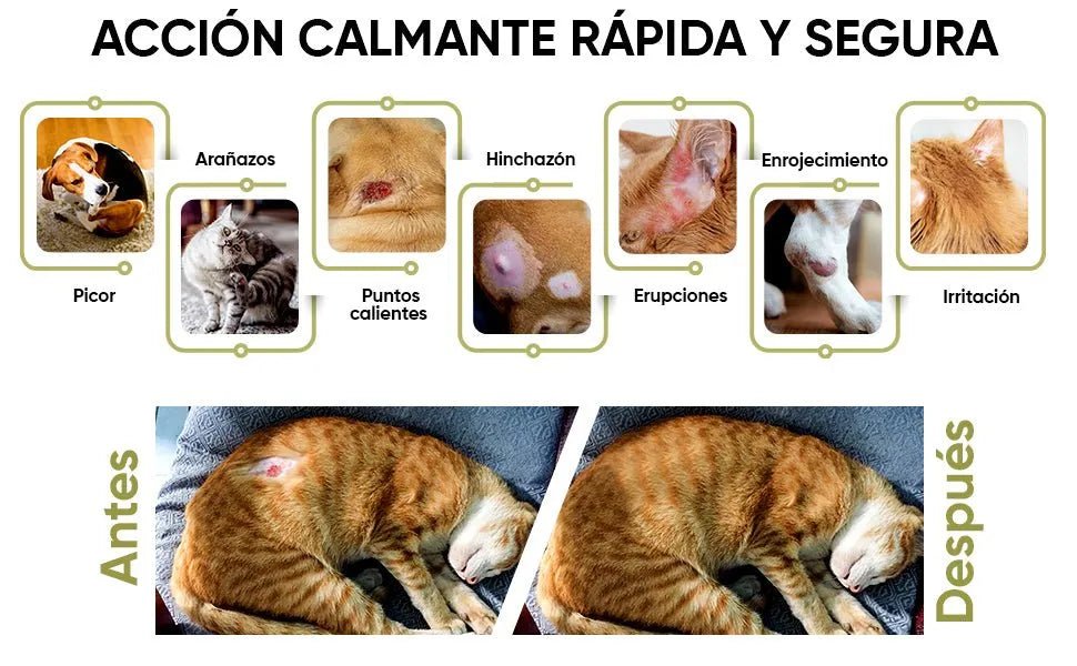 Spray anti - picadelas e comichão para cães e gatos, 250 ml, calmante para comichões e alergia com ,cravo e aloé vera, hidrata e alivia picadas de insetos e irritação - PetDoctors - Loja Online