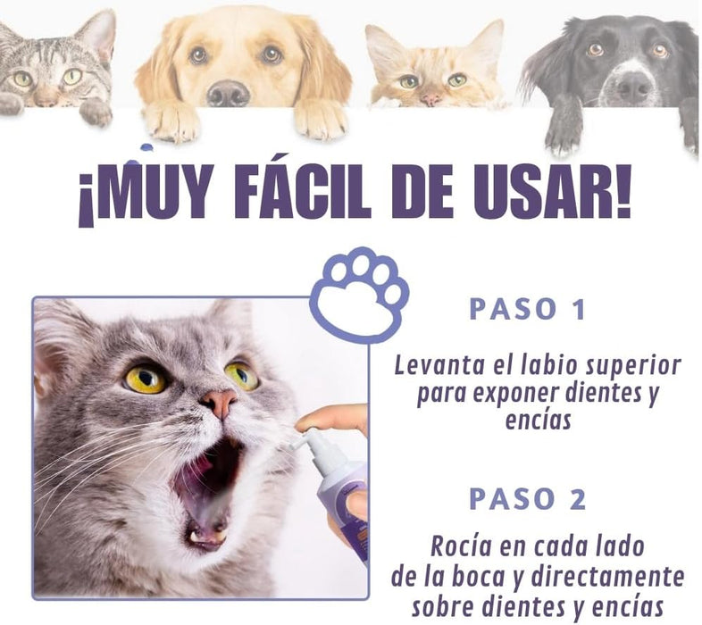 Spray bucal para cães, evita mau hálito, placa e dentes sujos, hálito fresco para cães e gatos sem necessidade de escova de dentes - PetDoctors - Loja Online