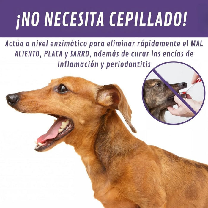 Spray bucal para cães, evita mau hálito, placa e dentes sujos, hálito fresco para cães e gatos sem necessidade de escova de dentes - PetDoctors - Loja Online