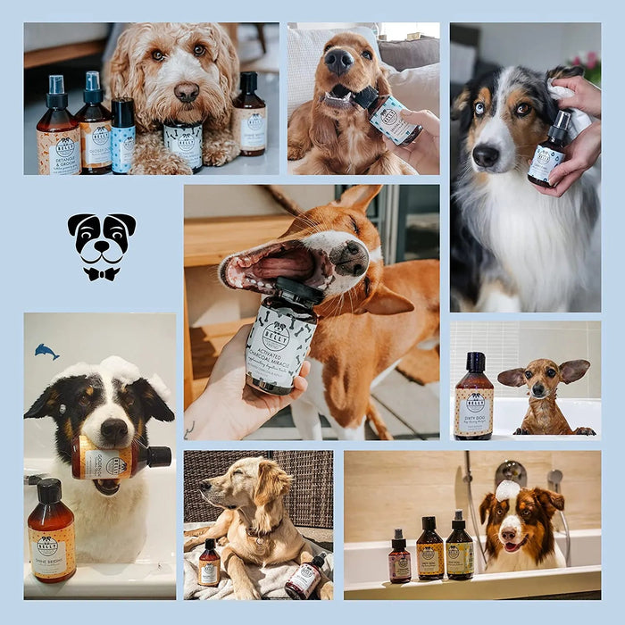 Spray Limpador de Olhos para Cães - com Aloé Vera e vitamina B5 (100 ml) - Orgânico - Belly - PetDoctors - Loja Online