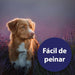 Spray para cuidados com o pelo de cães 250 ml, desembaraçante pelo cães, cuidado com a pele do cão, spray desembaraçador de pêlo para cães - PetDoctors - Loja Online