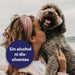 Spray para cuidados com o pelo de cães 250 ml, desembaraçante pelo cães, cuidado com a pele do cão, spray desembaraçador de pêlo para cães - PetDoctors - Loja Online