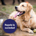 Spray para cuidados com o pelo de cães 250 ml, desembaraçante pelo cães, cuidado com a pele do cão, spray desembaraçador de pêlo para cães - PetDoctors - Loja Online