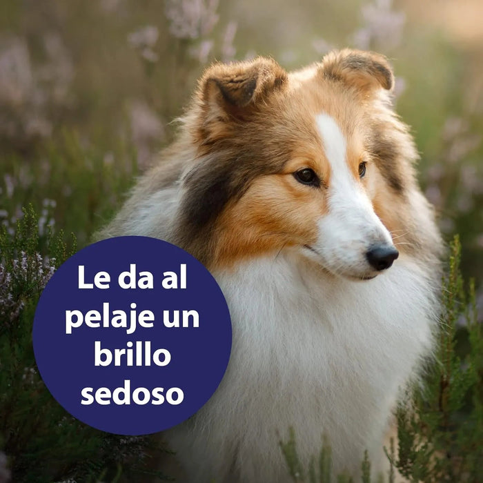 Spray para cuidados com o pelo de cães 250 ml, desembaraçante pelo cães, cuidado com a pele do cão, spray desembaraçador de pêlo para cães - PetDoctors - Loja Online
