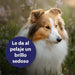 Spray para cuidados com o pelo de cães 250 ml, desembaraçante pelo cães, cuidado com a pele do cão, spray desembaraçador de pêlo para cães - PetDoctors - Loja Online