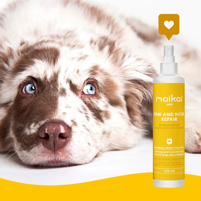 Spray protetor de almofadas para cães (125 ml) - PetDoctors - Loja Online