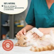 Suplemento condroprotetor e anti - inflamatório - Alivia e evita a dor de articulações de cães e gatos - 100 % natural - Wolf Belly Joints of Steel - PetDoctors - Loja Online