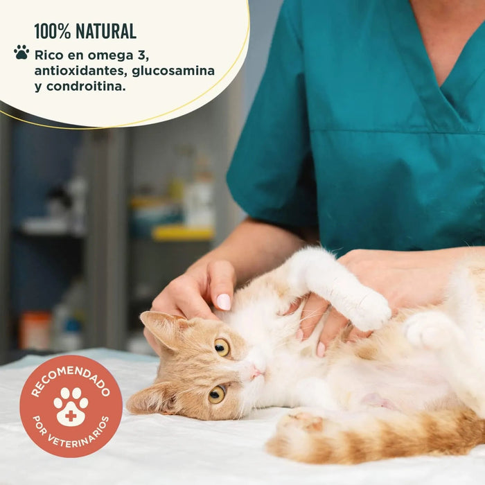 Suplemento condroprotetor e anti - inflamatório - Alivia e evita a dor de articulações de cães e gatos - 100 % natural - Wolf Belly Joints of Steel - PetDoctors - Loja Online