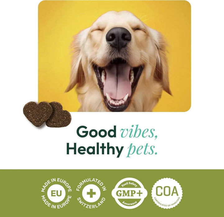Suplemento digestivo probiótico prébiótico para cães,com vitaminas B12 e B9, glutamina e zinco (85 Snacks de 300 gr) - PetDoctors - Loja Online
