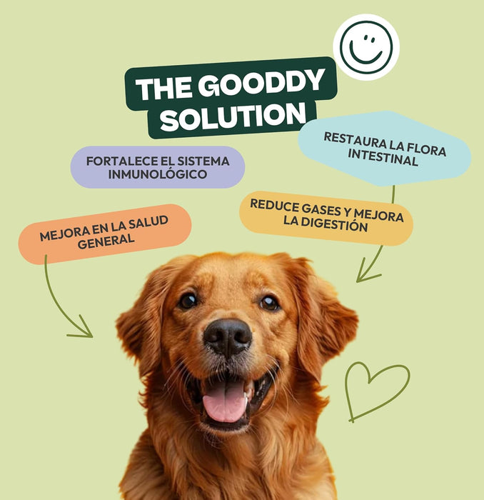 Suplemento digestivo probiótico prébiótico para cães,com vitaminas B12 e B9, glutamina e zinco (85 Snacks de 300 gr) - PetDoctors - Loja Online