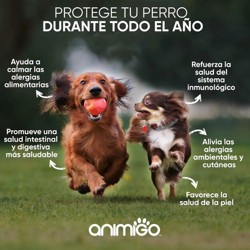 Suplemento natural alergias para aliviar a comichão em cães - 120 comprimidos sabor de frango | complemento hipoalergénico de Psyllium, sementes de linho e açafrão | anti - inflamatório - PetDoctors - Loja Online