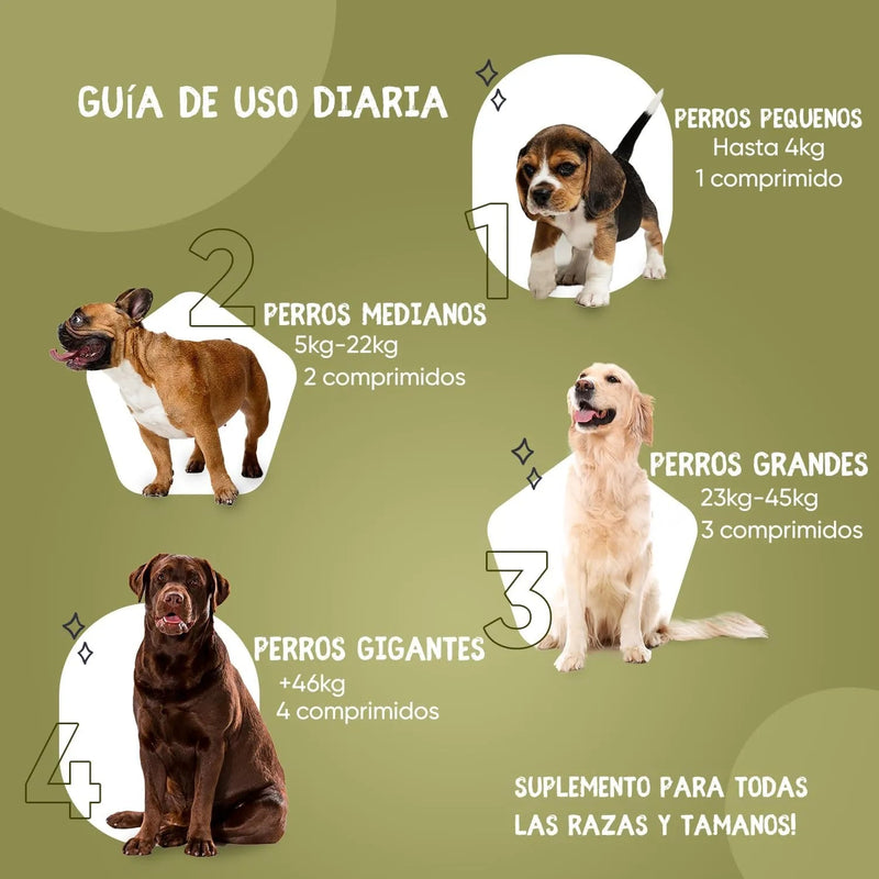 Suplemento natural alergias para aliviar a comichão em cães - 120 comprimidos sabor de frango | complemento hipoalergénico de Psyllium, sementes de linho e açafrão | anti - inflamatório - PetDoctors - Loja Online