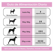 Suplemento para a saúde urinária de cães, 120 comprimidos sabor vitela - ajuda natural para o trato urinário e bexiga com, mirtilo vermelho, fonte de antioxidantes, vitaminas e minerais - PetDoctors - Loja Online