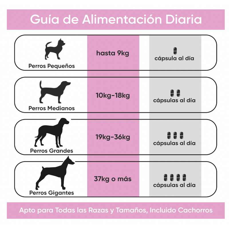 Suplemento para a saúde urinária de cães, 120 comprimidos sabor vitela - ajuda natural para o trato urinário e bexiga com, mirtilo vermelho, fonte de antioxidantes, vitaminas e minerais - PetDoctors - Loja Online