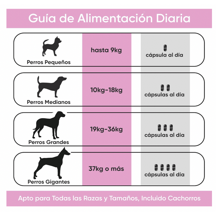 Suplemento para a saúde urinária de cães, 120 comprimidos sabor vitela - ajuda natural para o trato urinário e bexiga com, mirtilo vermelho, fonte de antioxidantes, vitaminas e minerais - PetDoctors - Loja Online
