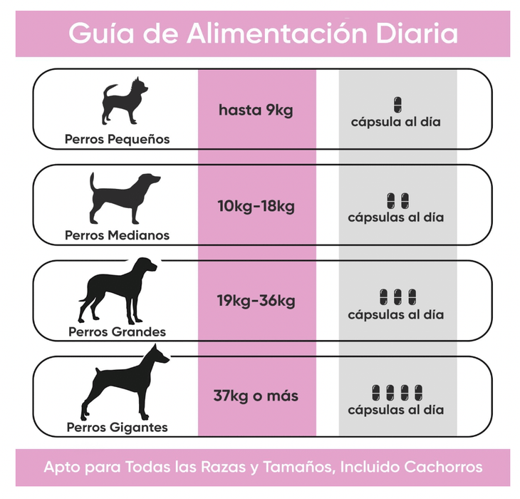 Suplemento para a saúde urinária de cães, 120 comprimidos sabor vitela - ajuda natural para o trato urinário e bexiga com, mirtilo vermelho, fonte de antioxidantes, vitaminas e minerais - PetDoctors - Loja Online
