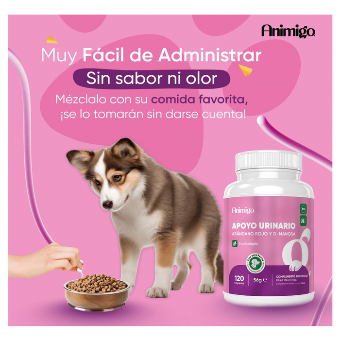 Suplemento para a saúde urinária de cães, 120 comprimidos sabor vitela - ajuda natural para o trato urinário e bexiga com, mirtilo vermelho, fonte de antioxidantes, vitaminas e minerais - PetDoctors - Loja Online