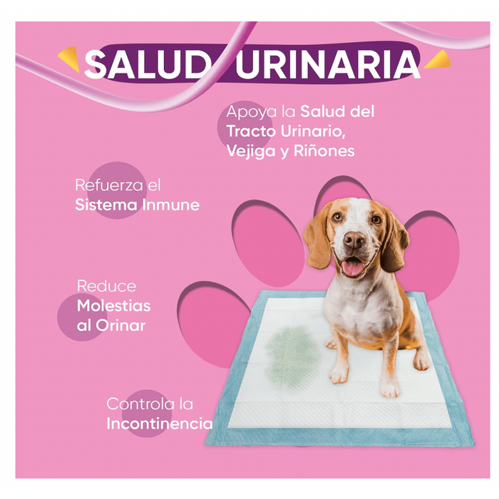Suplemento para a saúde urinária de cães, 120 comprimidos sabor vitela - ajuda natural para o trato urinário e bexiga com, mirtilo vermelho, fonte de antioxidantes, vitaminas e minerais - PetDoctors - Loja Online