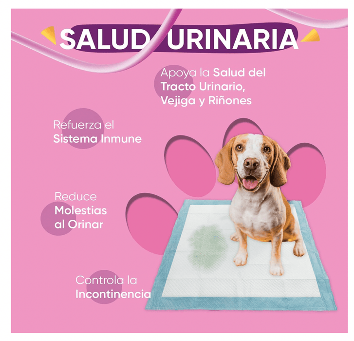 Suplemento para a saúde urinária de cães, 120 comprimidos sabor vitela - ajuda natural para o trato urinário e bexiga com, mirtilo vermelho, fonte de antioxidantes, vitaminas e minerais - PetDoctors - Loja Online